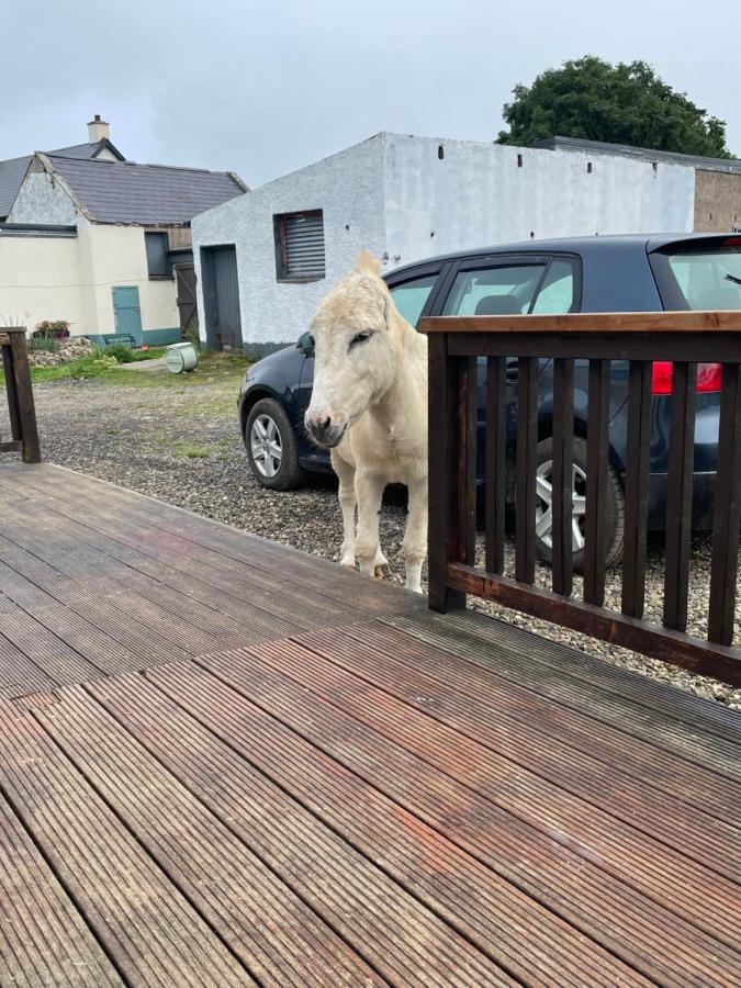 Farm Stay Property Pets And Families Welcome ロスナウラー エクステリア 写真